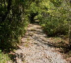 027 Kastav - 27. september 2023 - 4272