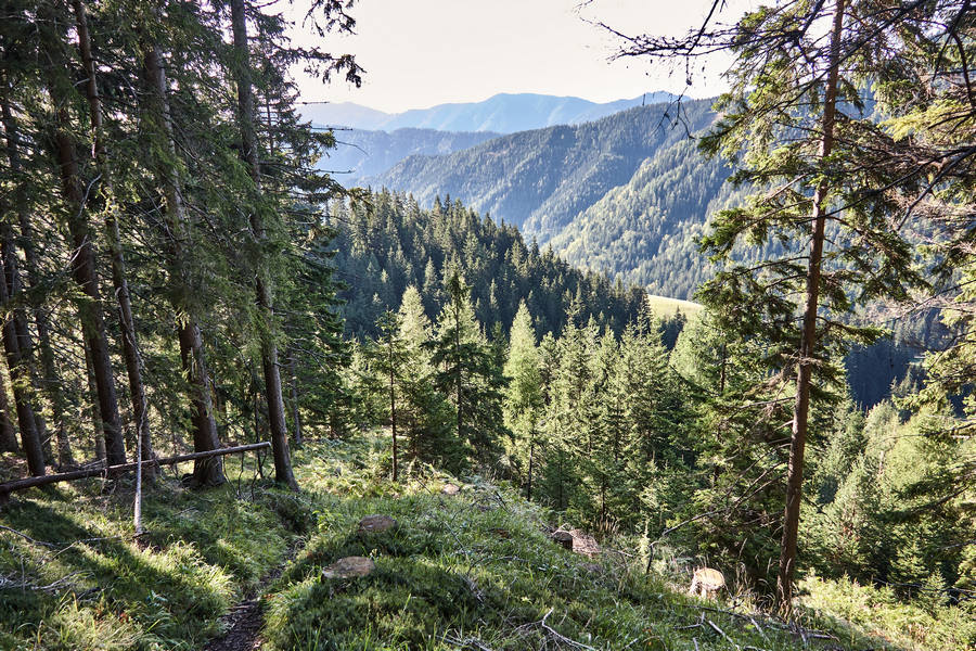 007 Peca - 6. september 2009 - 2366.jpg