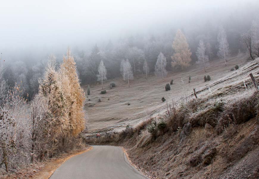 002 Paški Kozjak - 20. november 2011 - 6980.jpg