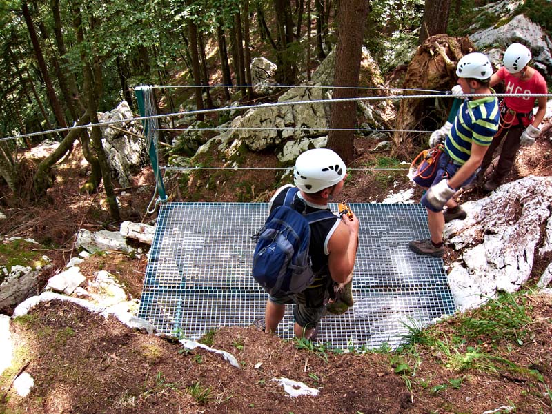 014 Flying Fox - 4. avgust 2012 - S95 1372.jpg