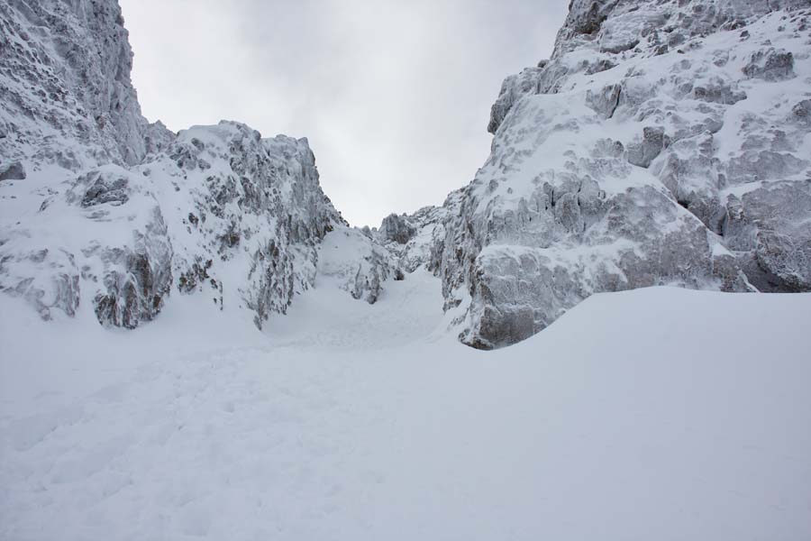 012 Centralna grapa - 16. december 2012 - 9099.jpg