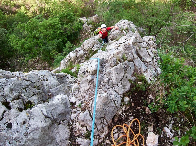 008 Steber - 4. maj 2013 - S95 2777.jpg