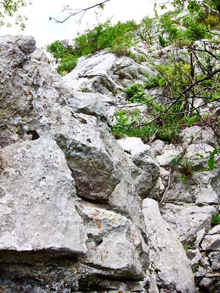 021 Veseli Matiček - 4. maj 2013 - S95 2808.jpg