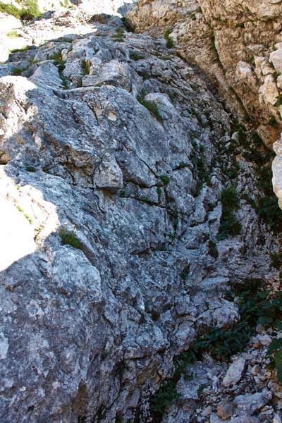 005 Hudi prask - 1. avgust 2013 - 0314.jpg