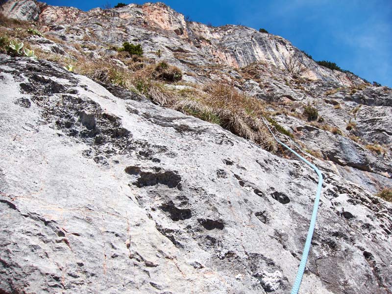 012 Serengeti - 25. april 2015 - S95 5016.jpg