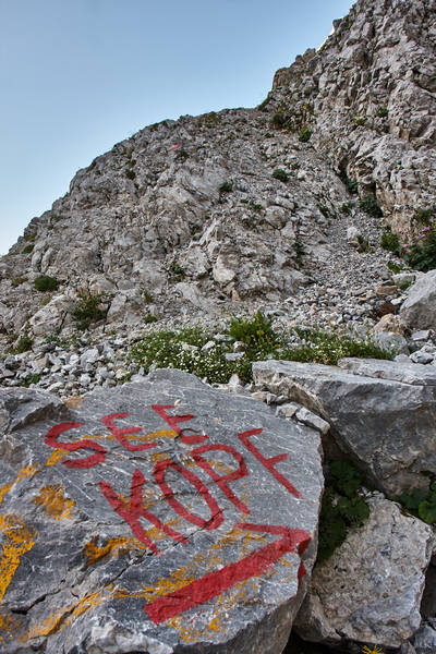 007 Monte Capolago - 2. avgust 2017 - 4225.jpg