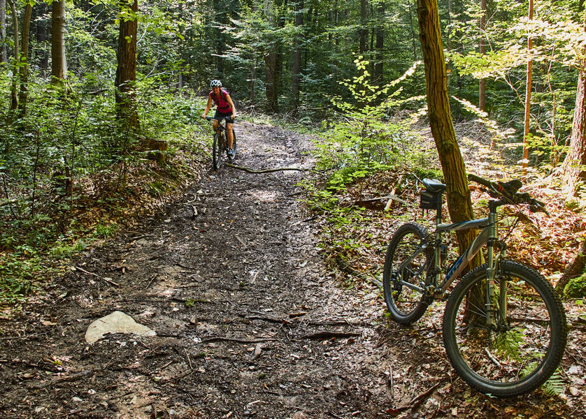 009 Murovica - 13. avgust 2020 - 6510.jpg