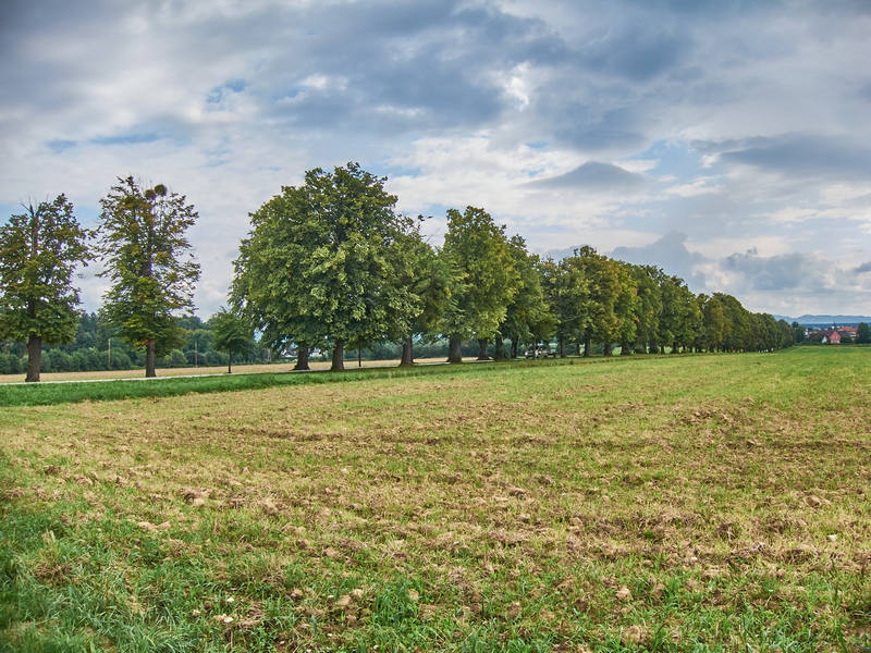 006 Dravsko polje - 16. avgust 2020 - S95 8196.jpg