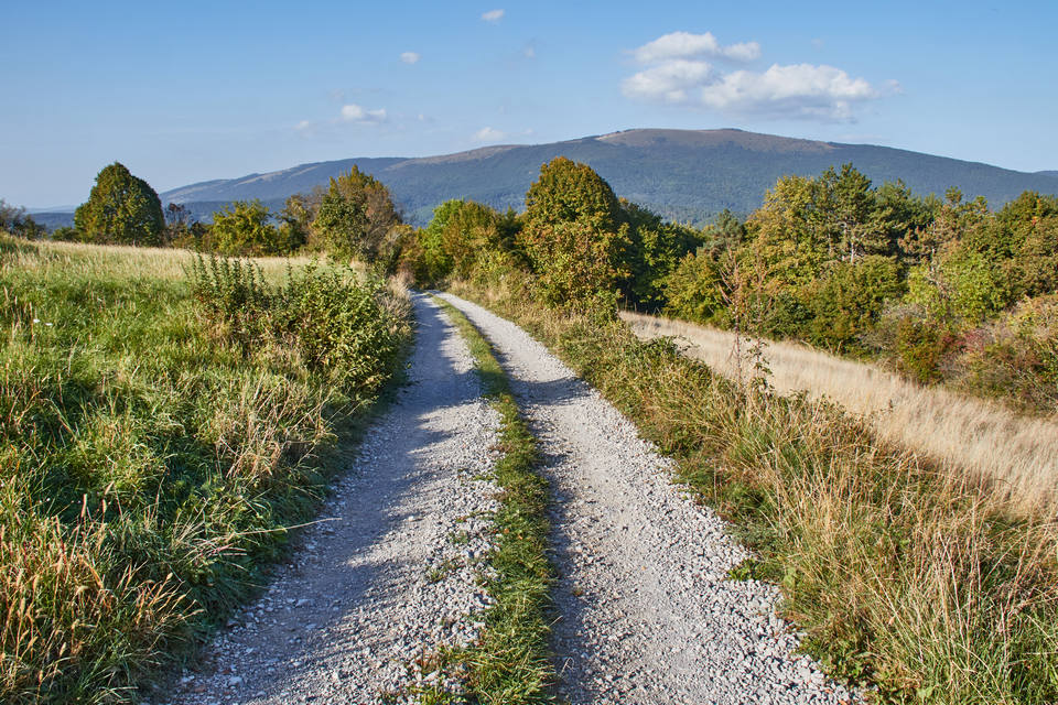 033 Rodik-Artviže - 11. oktober 2023 - 4456.jpg