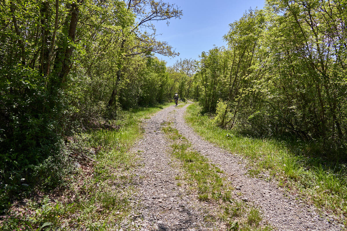 020 Škocjanski park-Risnik-Vilenica - 29. april 2024 - 0527.jpg