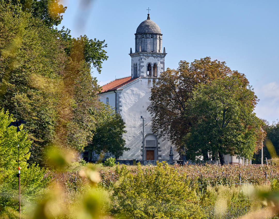 Cerkev Marijinega vnebovzetja