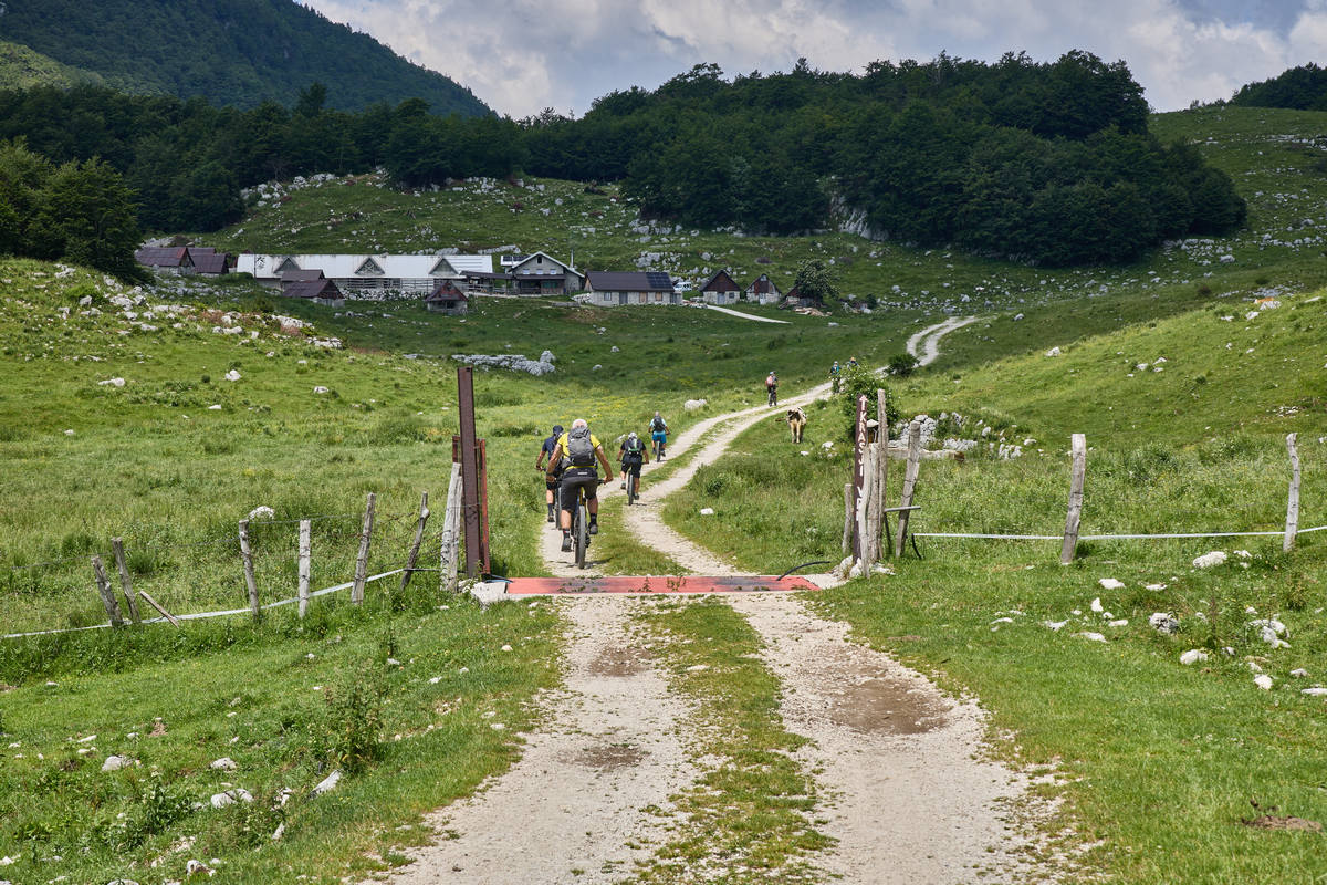 Repetitor trail